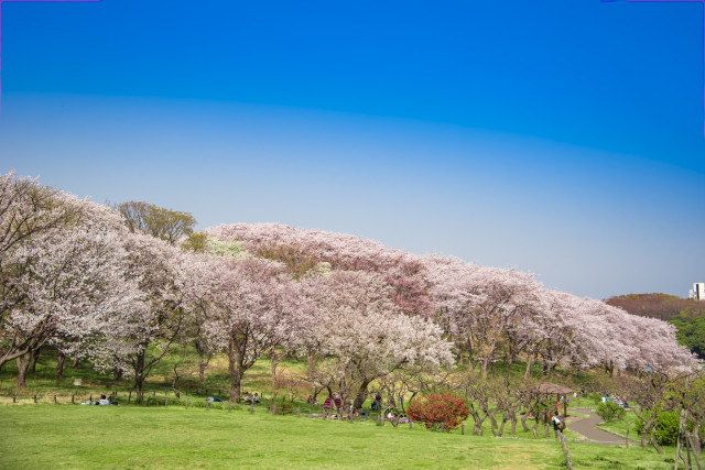 根岸森林公園【横浜市】